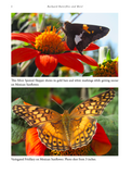 Backyard Butterflies and More! A Rare Nature Book