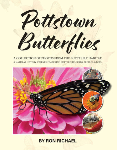 Pottstown Butterflies: A Collection of Photos From the Butterfly Habitat
